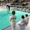 Journée des Hwarangs